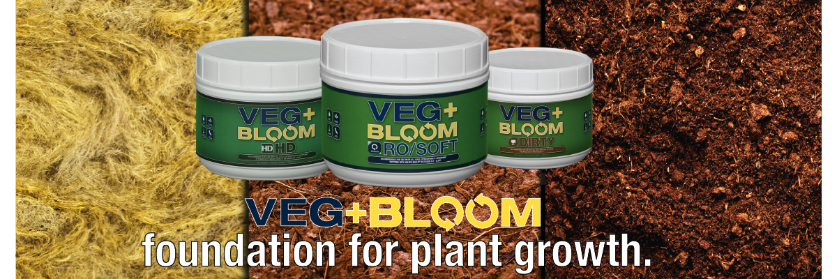 Veg Bloom Shine Feed Chart